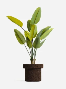 greenmood gallery mario planters 04