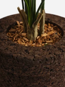 greenmood gallery mario planters 06
