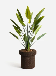 greenmood gallery mario planters 07