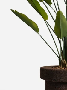 greenmood gallery mario planters 08