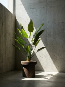 greenmood gallery mario planters 12