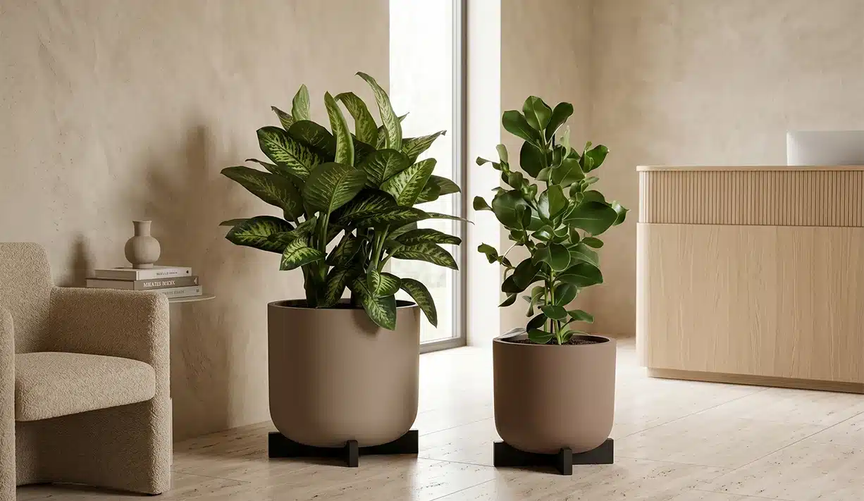 greenmood product cruz planters 01