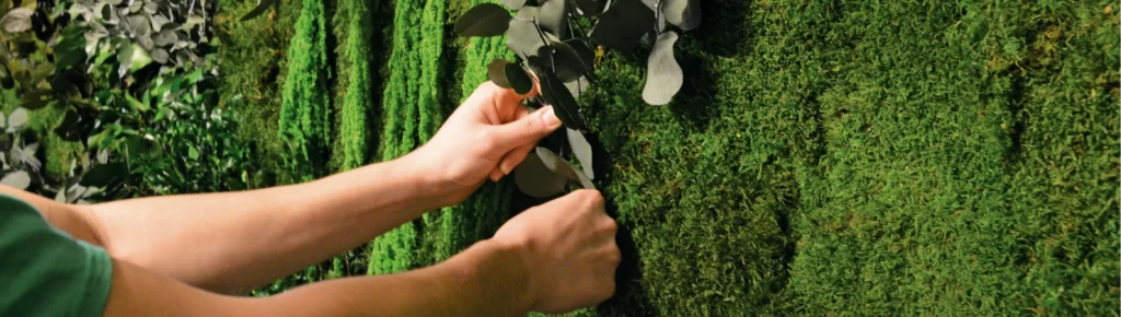 hero preserved moss walls vs living walls