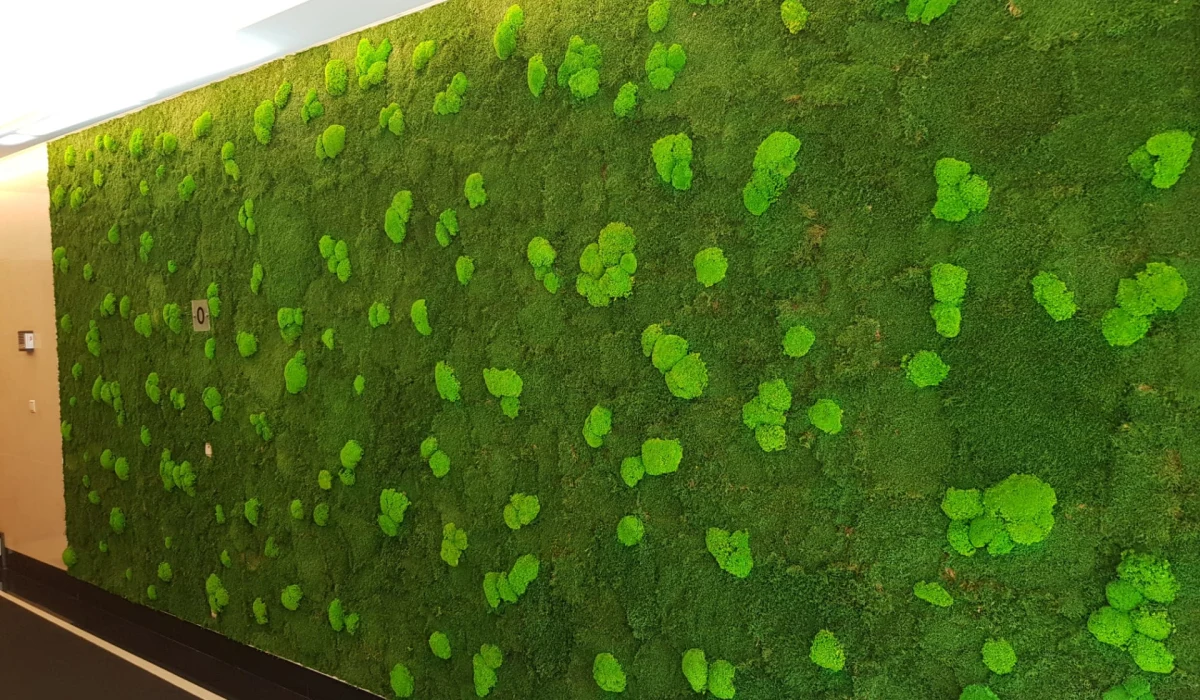 Moss Cladding Preserved Moss Walls vs Living Walls: Complete Architect's Guide (2026 ...