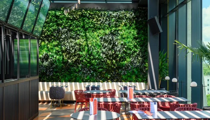 Moss Cladding Preserved Moss Walls vs Living Walls: Complete Architect's Guide (2026 ...
