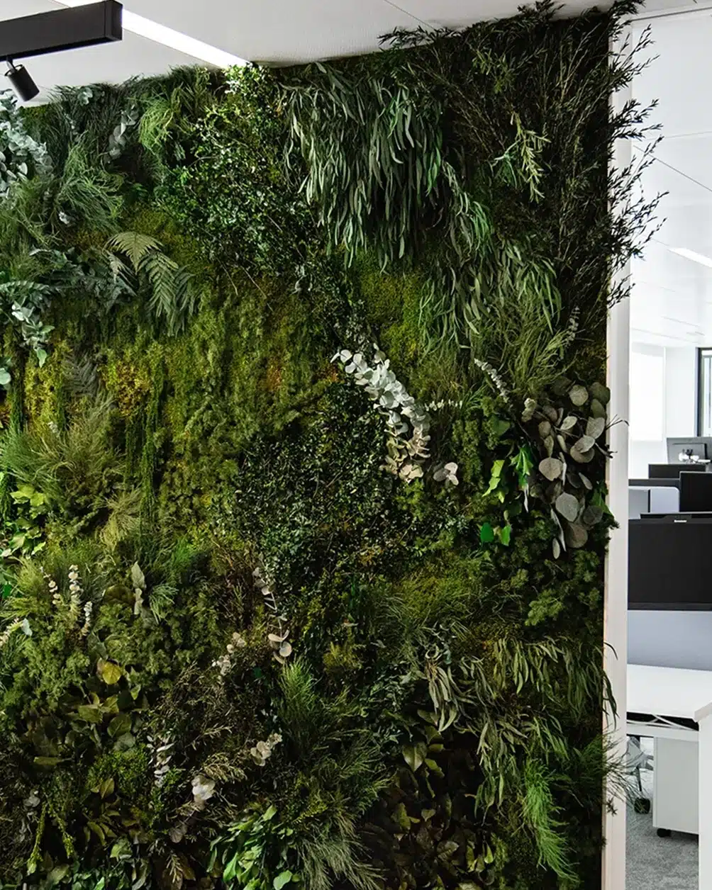 Greenmood preserved moss and plant green wall in an open-plan office